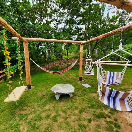 Cabana Loris *